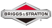Brand Briggs & Stratton image