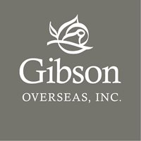 Gibson brand image