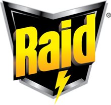 Brand Raid image
