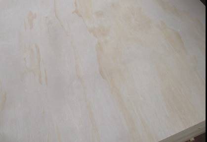 Sanded Pine interior Plywood,12mm, 4x8 Ft
