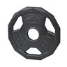 Olympic Iron Weight Plate 10 Lbs.