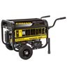 Firman 3800W Gasoline Generator - Never run out of power!