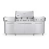 Stainless steel cart 6 burner gas grill.