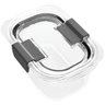Brilliance Food Storage Container 1.3 cup